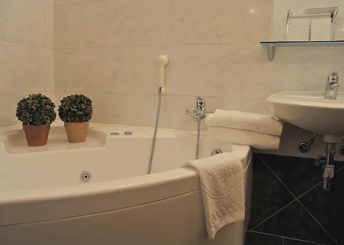 Parco Hotel Castelvetro Piacentino